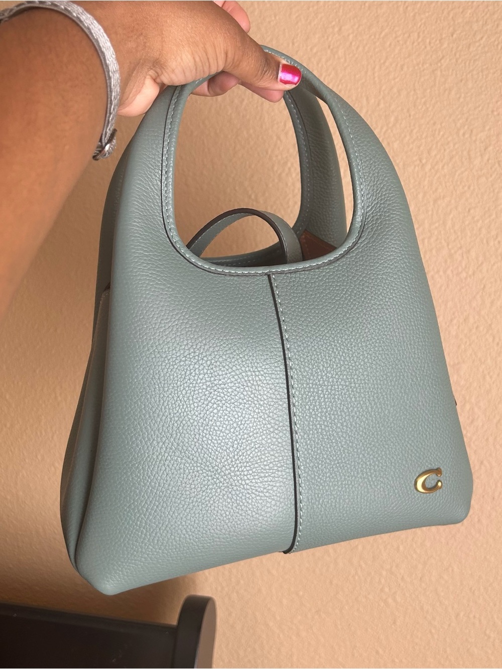 Coach Lana Bag 23